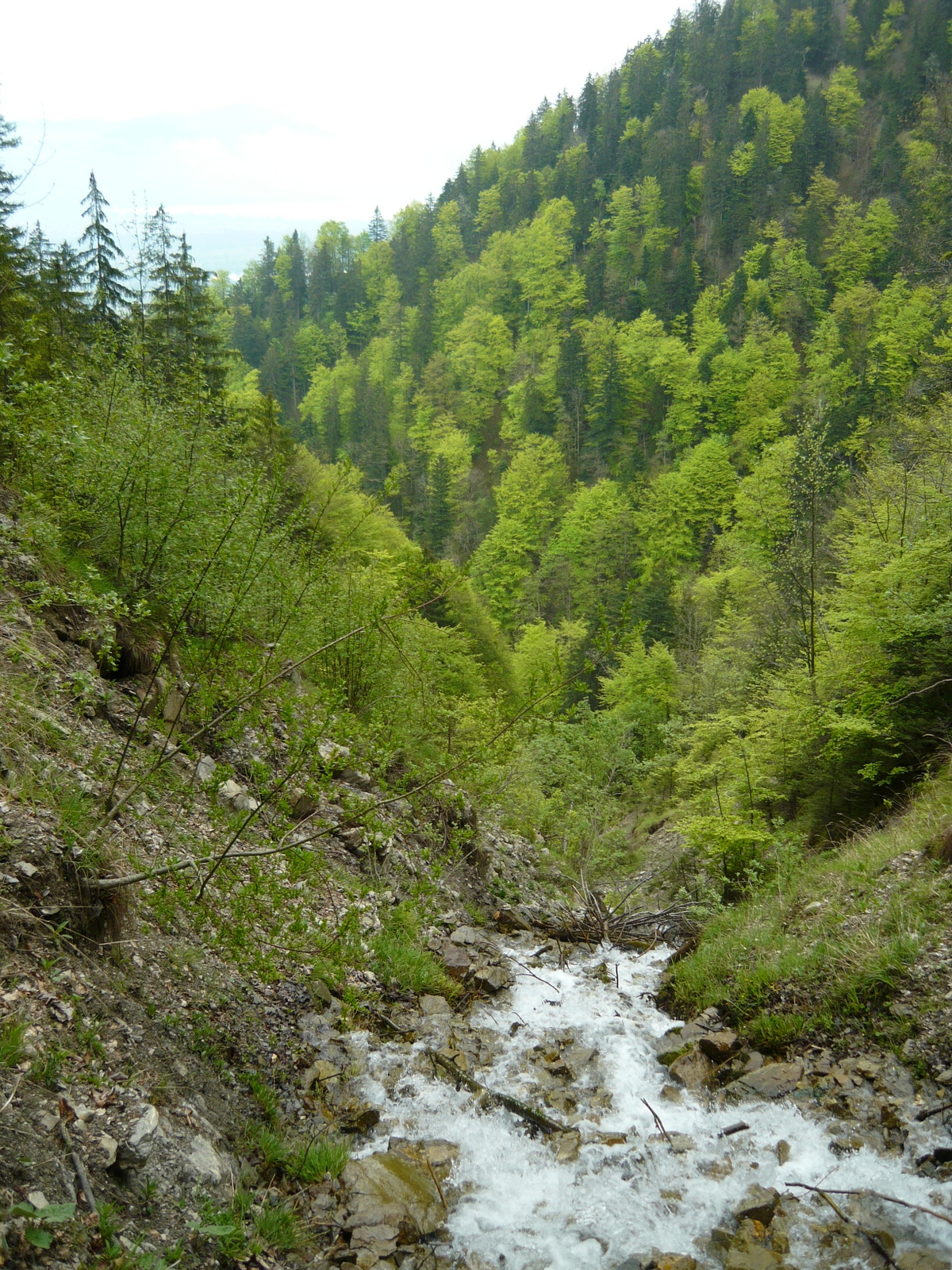 P1010497